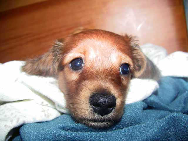 daikuj001.jpg
 ORG[640 x 480] NOW[ 640 x 480]
(�␳�O�{�����{���␳������100���ŕ\����)