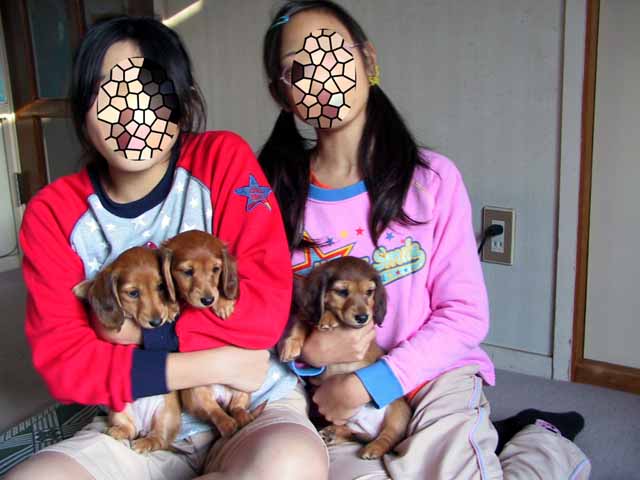 This picture is for quick loading of picture.