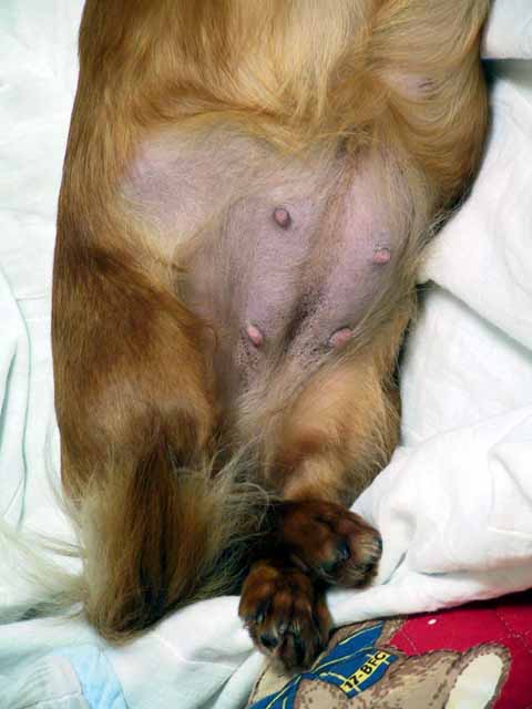 This picture is for quick loading of picture.