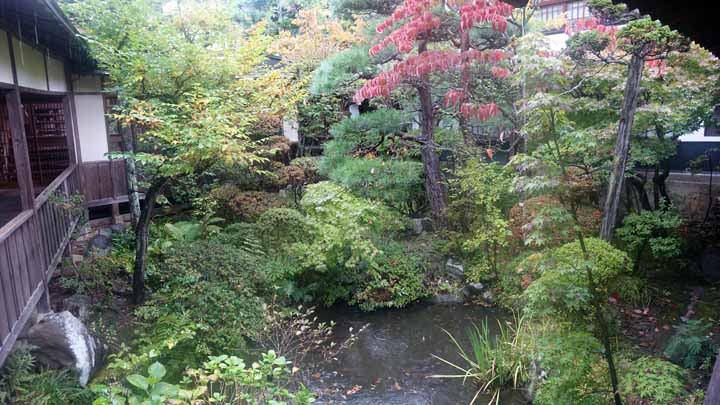 DRC03047.jpg
 ORG[720 x 405] NOW[ 720 x 405]
(�␳�O�{�����{���␳������100���ŕ\����)