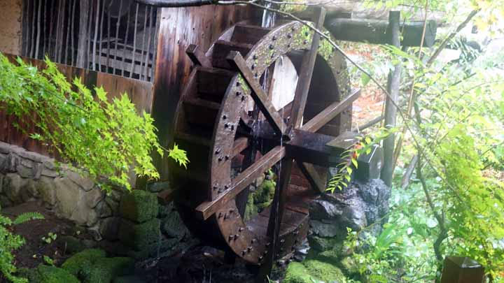 This picture is for quick loading of picture.