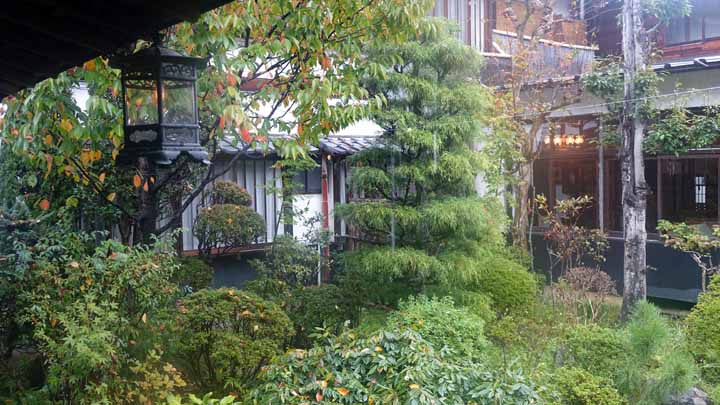 This picture is for quick loading of picture.