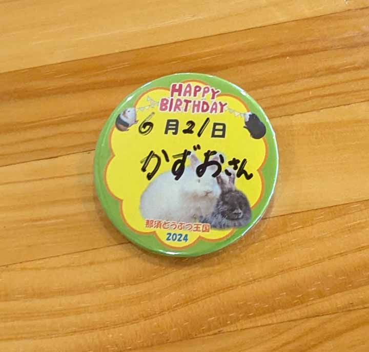 This picture is for quick loading of picture.