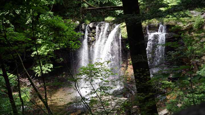 This picture is for quick loading of picture.