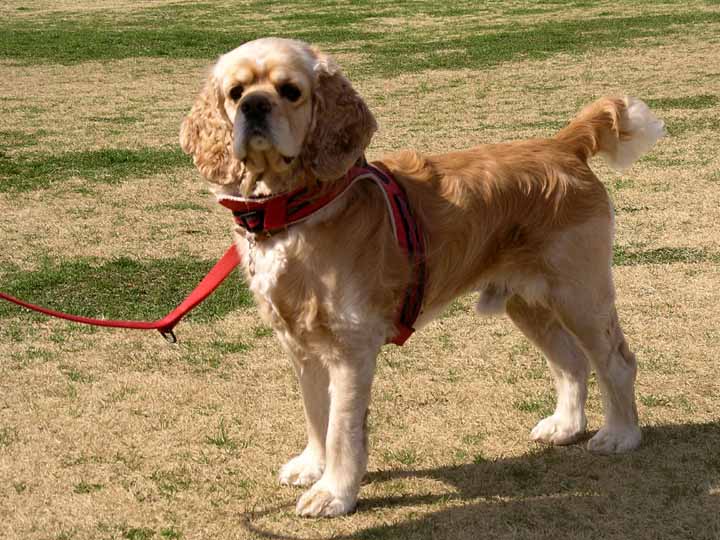 This picture is for quick loading of picture.