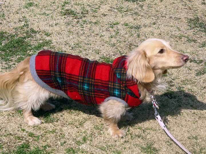 This picture is for quick loading of picture.