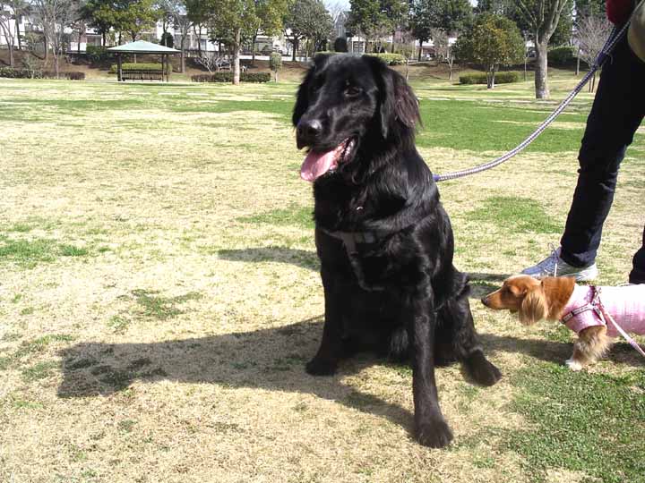 This picture is for quick loading of picture.