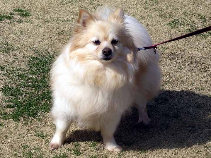 This picture is for quick loading of picture.