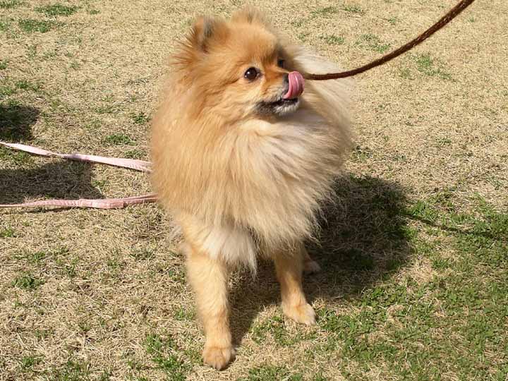 This picture is for quick loading of picture.