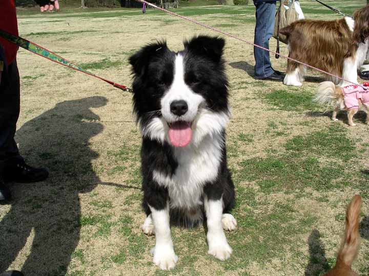 This picture is for quick loading of picture.