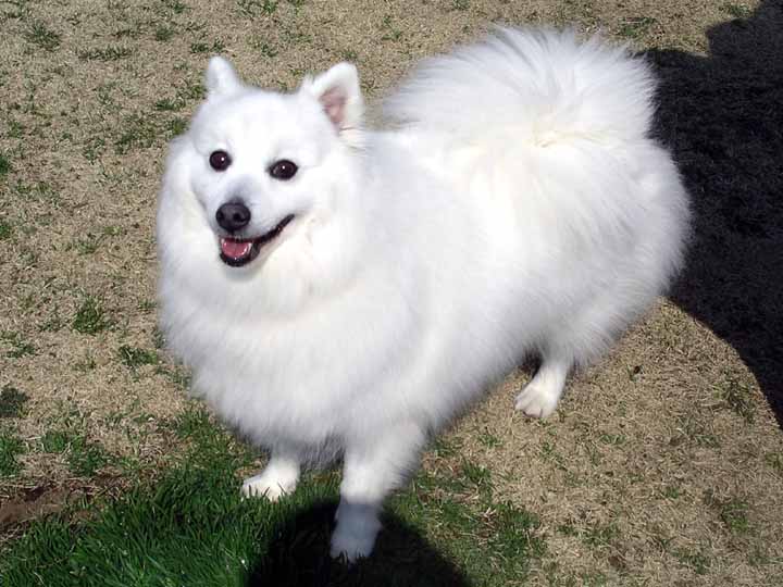 This picture is for quick loading of picture.