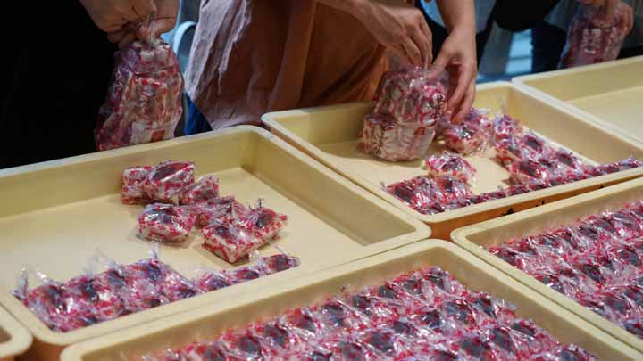 This picture is for quick loading of picture.