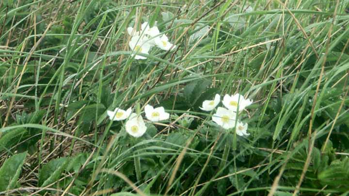 This picture is for quick loading of picture.