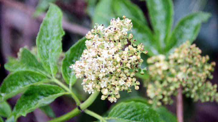 This picture is for quick loading of picture.