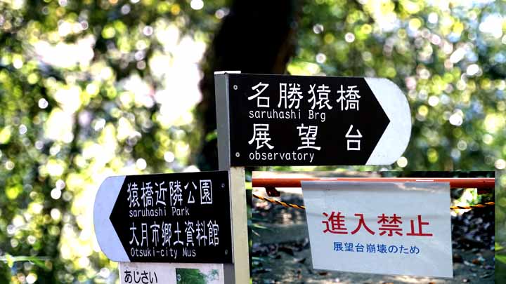 This picture is for quick loading of picture.