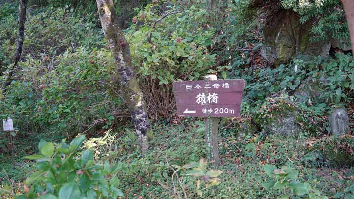 This picture is for quick loading of picture.