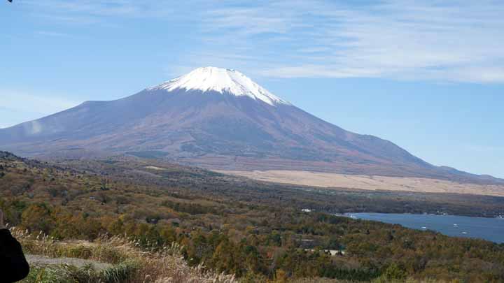 This picture is for quick loading of picture.