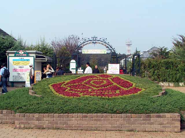 IMG_2192.jpg
 ORG[640 x 480] NOW[ 640 x 480]
(�␳�O�{�����{���␳������100���ŕ\����)