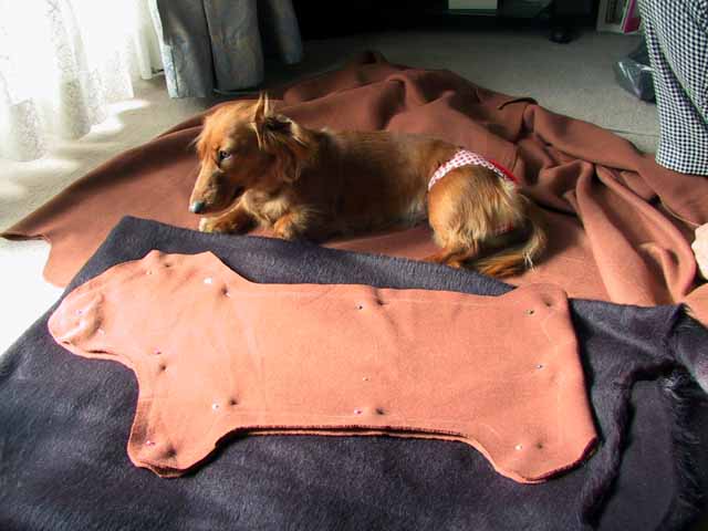 This picture is for quick loading of picture.