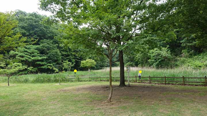 This picture is for quick loading of picture.