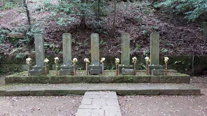 This picture is for quick loading of picture.