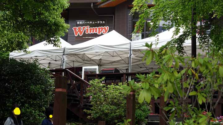 This picture is for quick loading of picture.