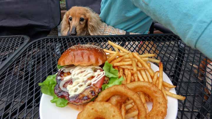 This picture is for quick loading of picture.