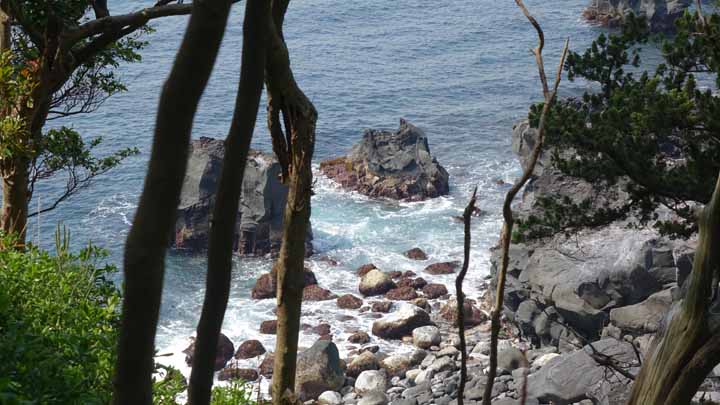 This picture is for quick loading of picture.