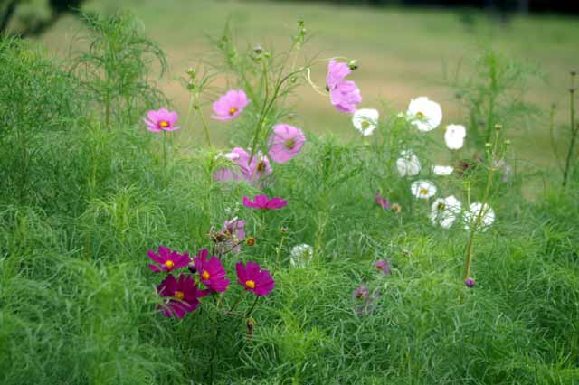 This picture is for quick loading of picture.