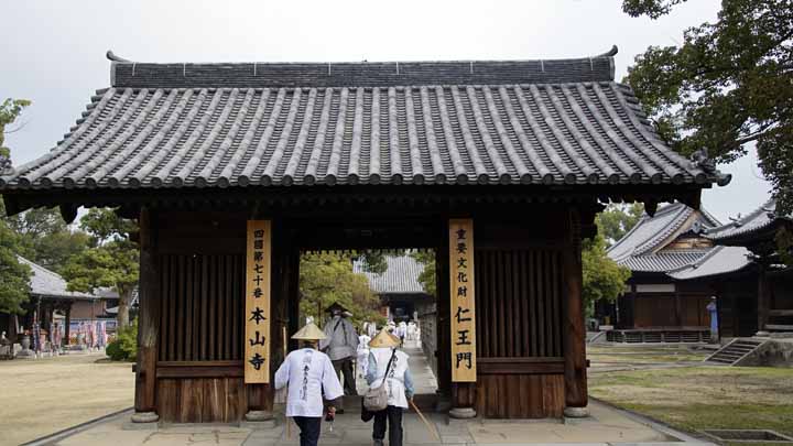 This picture is for quick loading of picture.