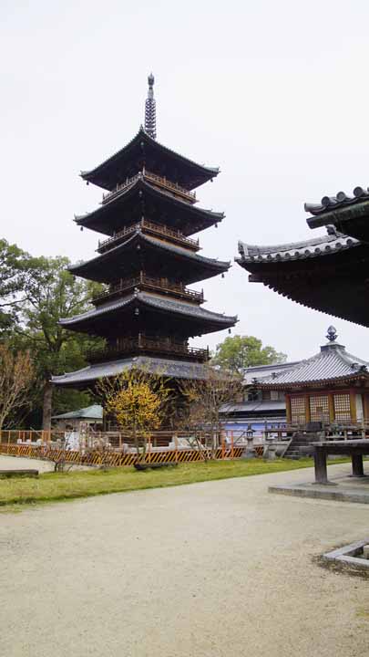 This picture is for quick loading of picture.