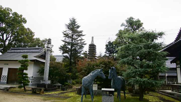 This picture is for quick loading of picture.