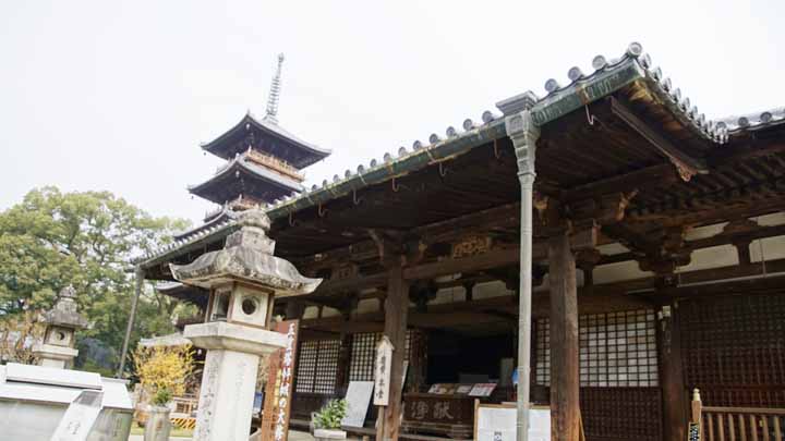 This picture is for quick loading of picture.