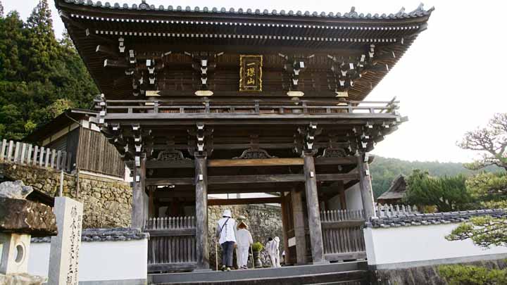 This picture is for quick loading of picture.