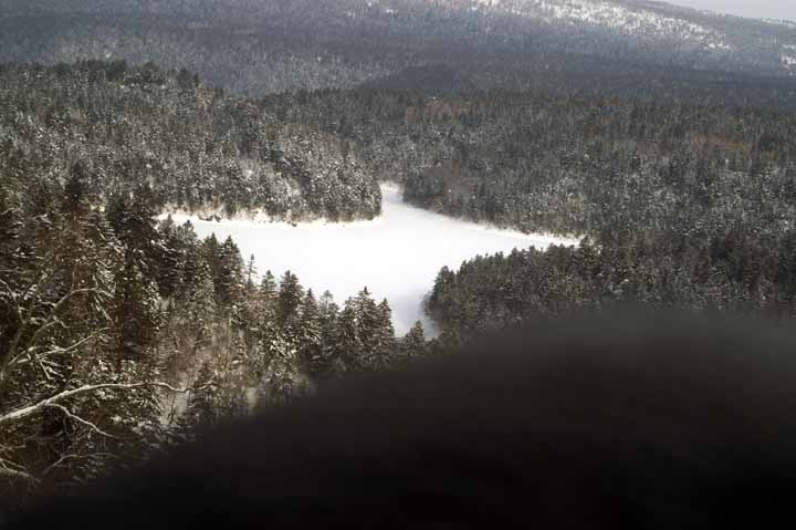 This picture is for quick loading of picture.