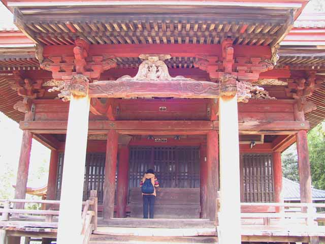 This picture is for quick loading of picture.