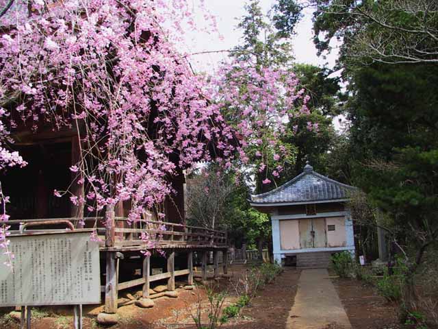 This picture is for quick loading of picture.