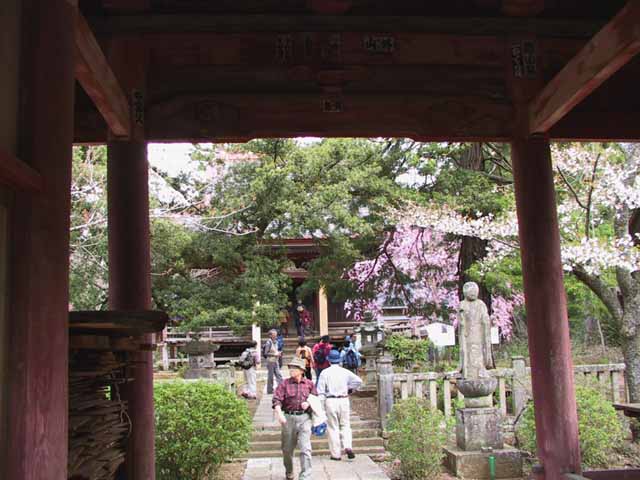 This picture is for quick loading of picture.