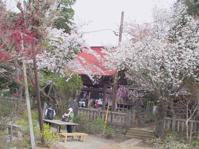 This picture is for quick loading of picture.