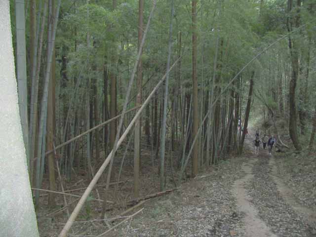 This picture is for quick loading of picture.