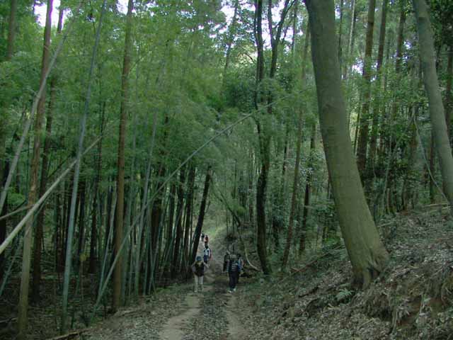 This picture is for quick loading of picture.