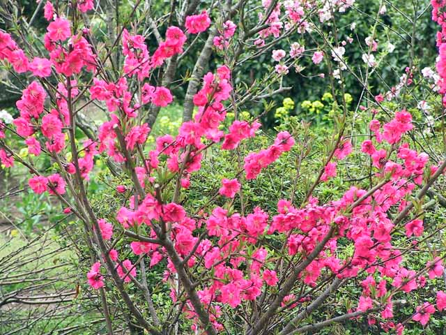 This picture is for quick loading of picture.