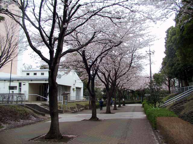 IMG_3500.jpg
 ORG[640 x 480] NOW[ 640 x 480]
(�␳�O�{�����{���␳������100���ŕ\����)