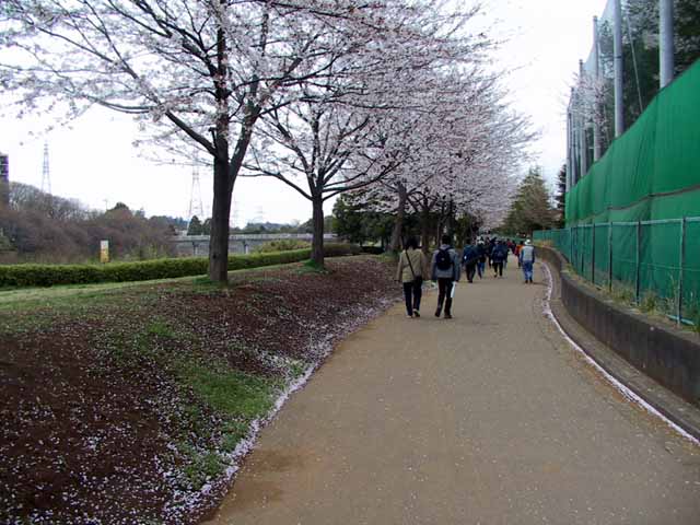 This picture is for quick loading of picture.