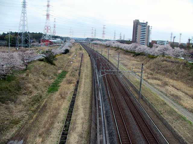 This picture is for quick loading of picture.