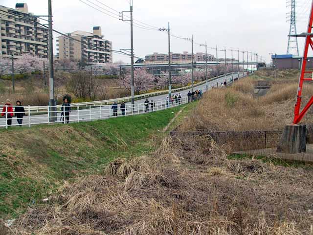 This picture is for quick loading of picture.