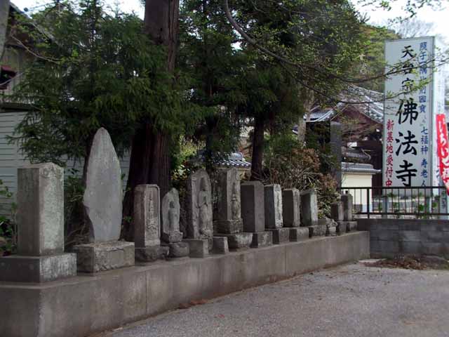 This picture is for quick loading of picture.