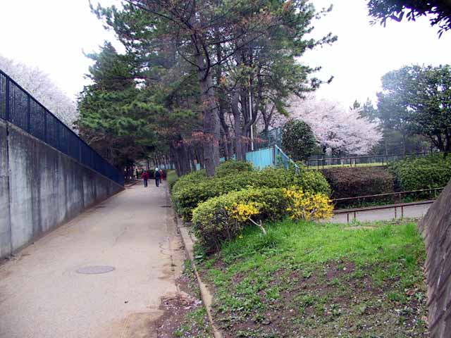 This picture is for quick loading of picture.