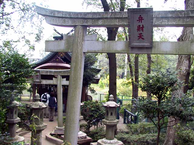 This picture is for quick loading of picture.