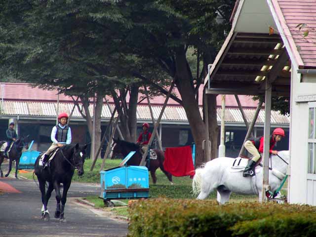 This picture is for quick loading of picture.